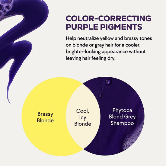 Infografía de Phytoca USA que explica cómo el champú morado neutraliza los tonos amarillos en cabellos rubios y grises.